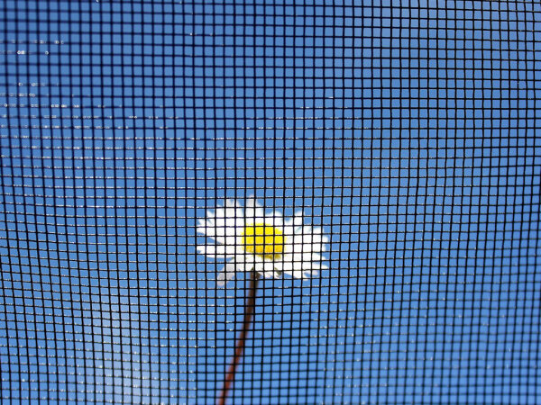 Fliegengittergewebe Clear Advantage 160 cm breit