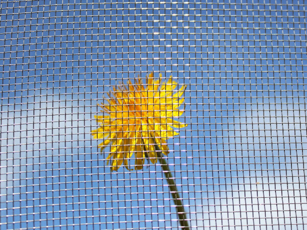 Fliegengitter Edelstahlgewebe 100 cm x 12,5 Meter